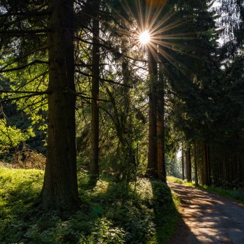 Bumbálka - 29.06.2019