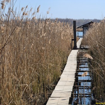 Procházka Ostravou - 05.04.2020
