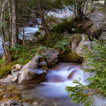 Vysoké Tatry - 14.09.2019