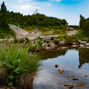 Vysoké Tatry - 20.07.2019