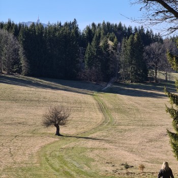 Zlatník a Visalaje - 10.04.2020
